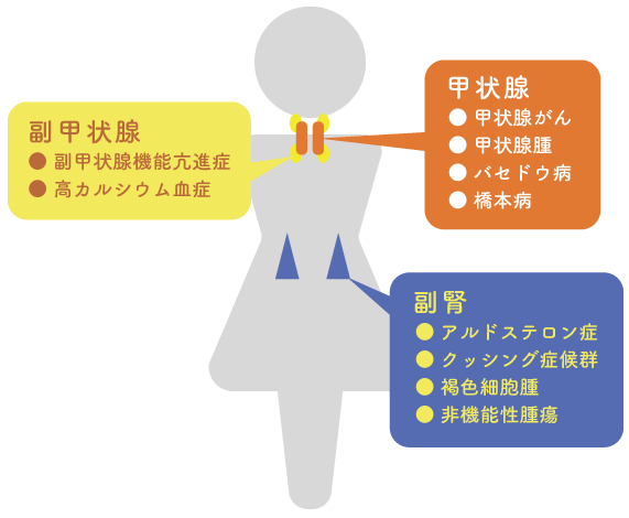 内分泌外科